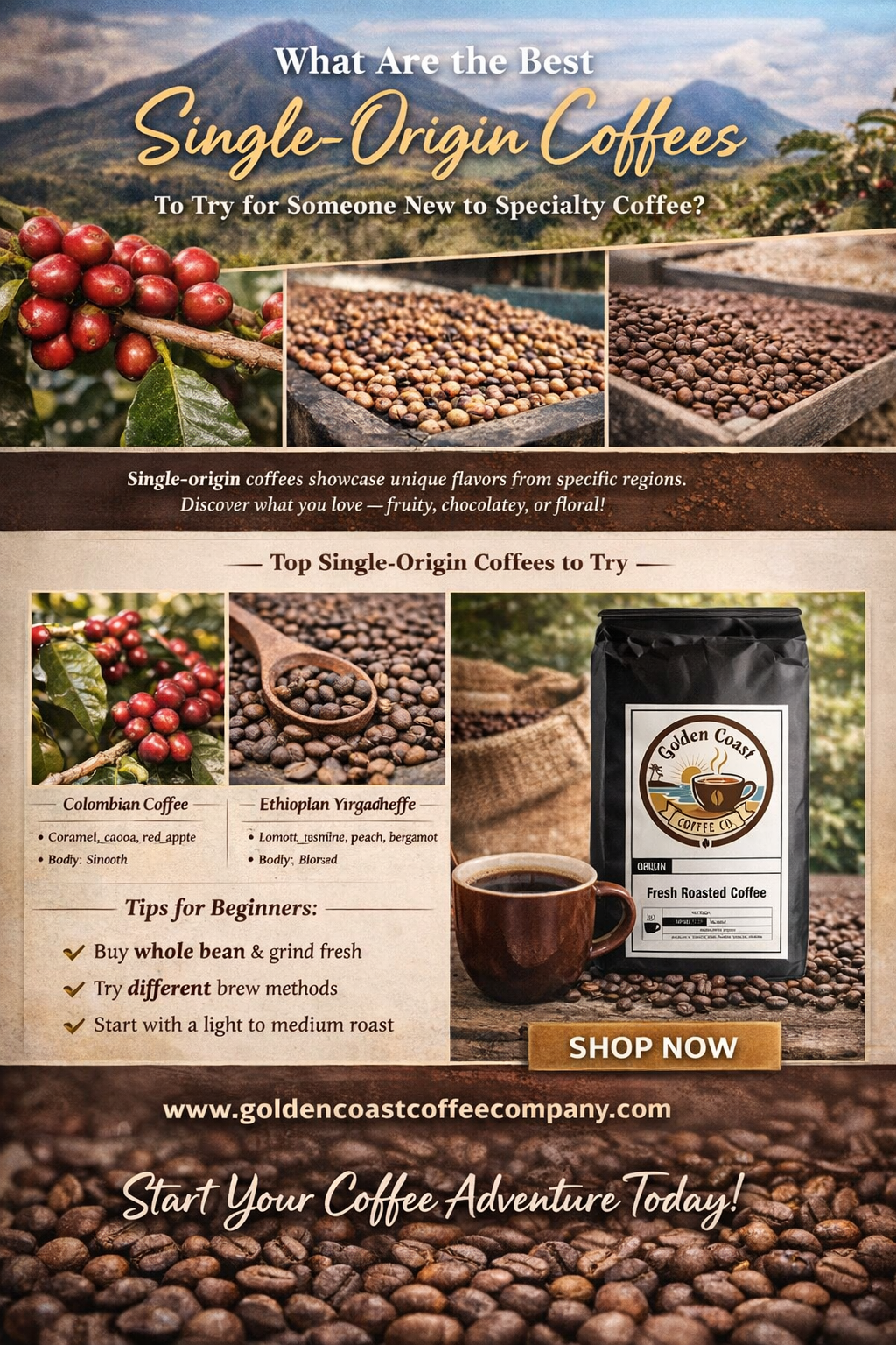 The Best Single-Origin Coffees to Try: A Beginner’s Guide
